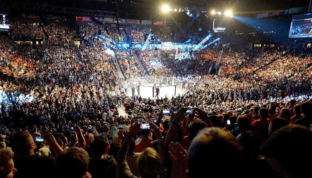 UFC 229 descends into chaos after main event with post-fight brawl