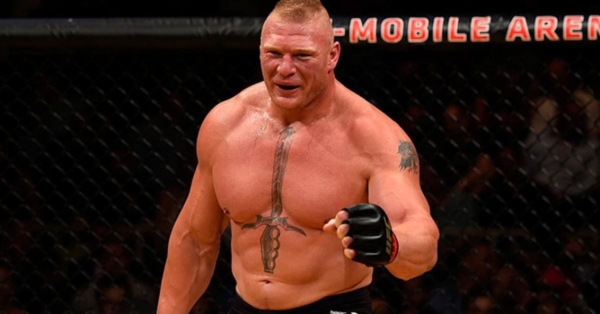 Brock Lesnar's Brief UFC Career Made Him a Ton of Money