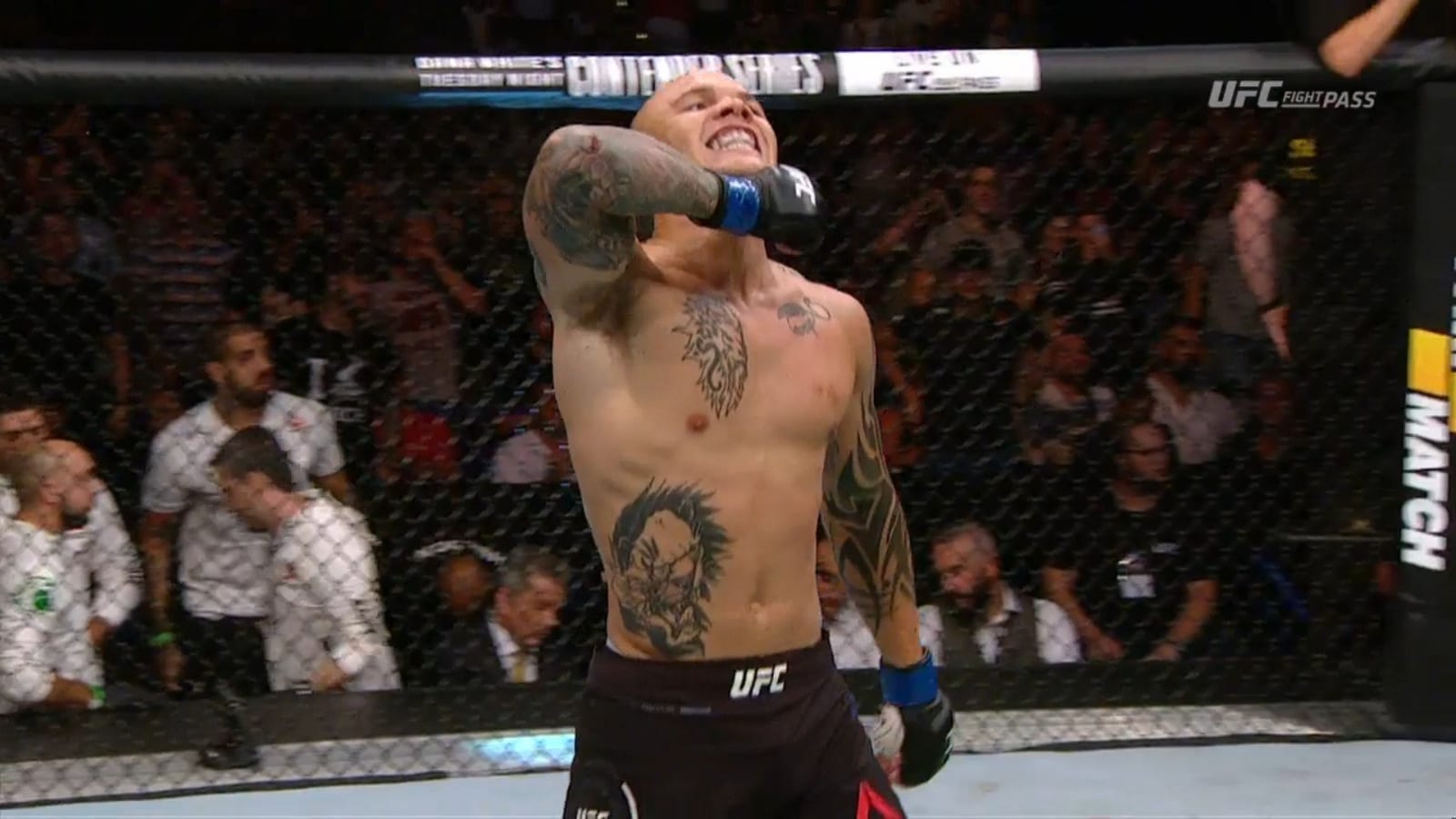 Video Anthony Smith demolishes Shogun Rua in Hamburg calls out