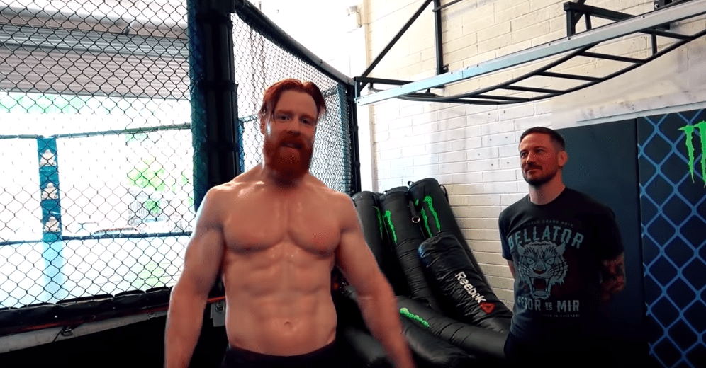 wwe sheamus ireland