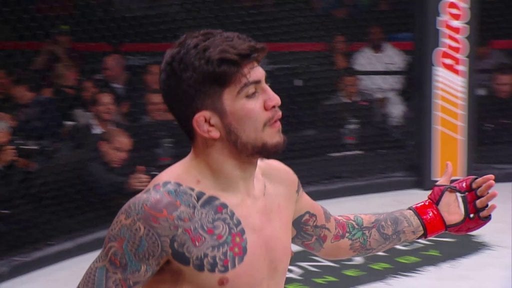 Dillondanis