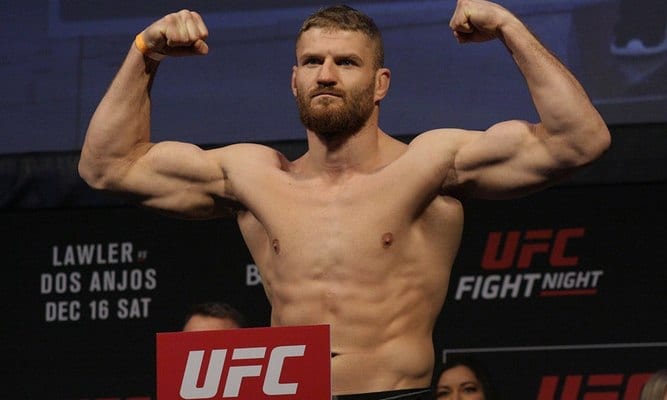 jan_blachowicz_3.jpg