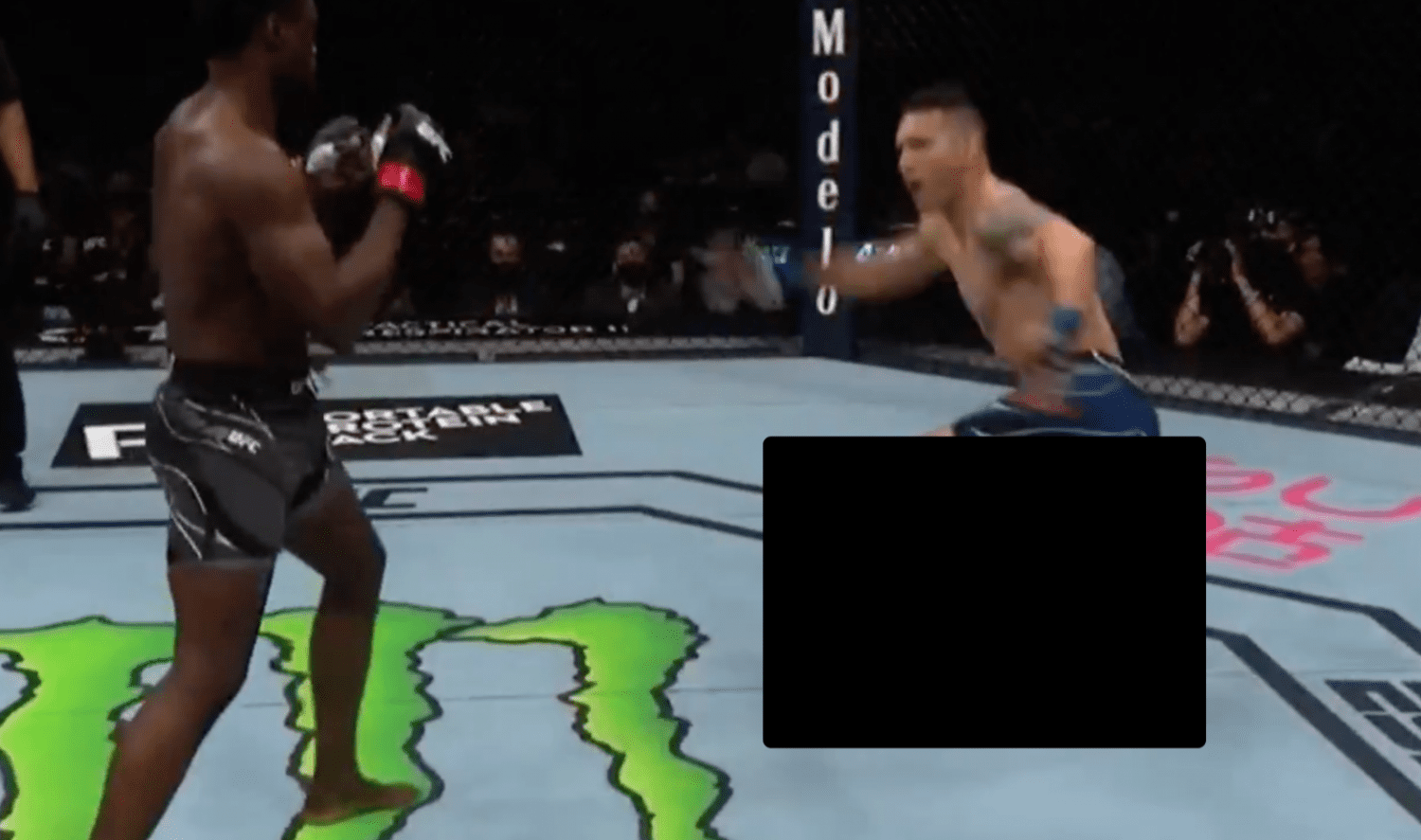 ufc broken leg gif